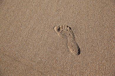 《金枪鱼猛男冒险》登陆Steam 猛男跑酷新游